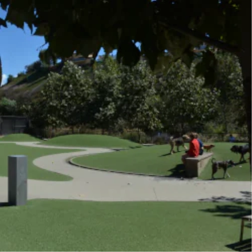 What to Know Before You Spec a Dog Park Surface in Huntsville