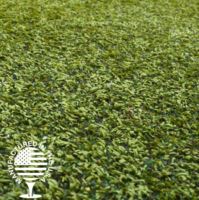 Detailed close-up of premium artificial grass with short, textured blades and natural color variation, engineered for realistic look, durability, and low-maintenance landscaping.