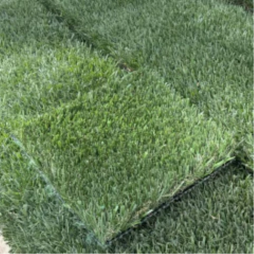 Introducing Wide Blade Turf in Huntsville