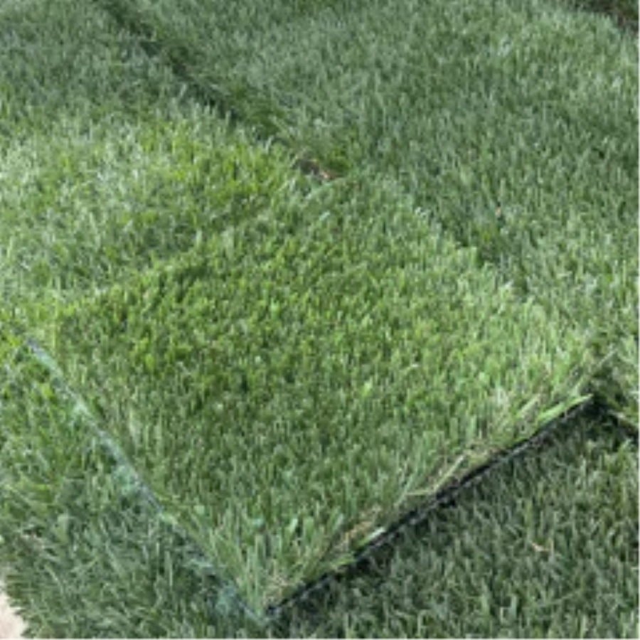 Introducing Wide Blade Turf in Huntsville