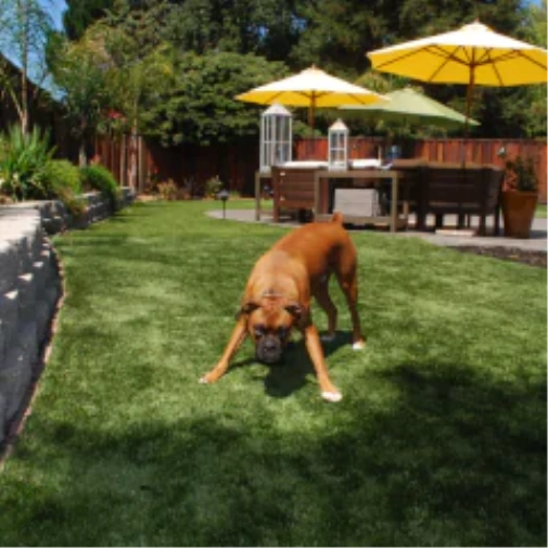 Why fake grass for dogs Upgrades Your Huntsville Outdoor Space