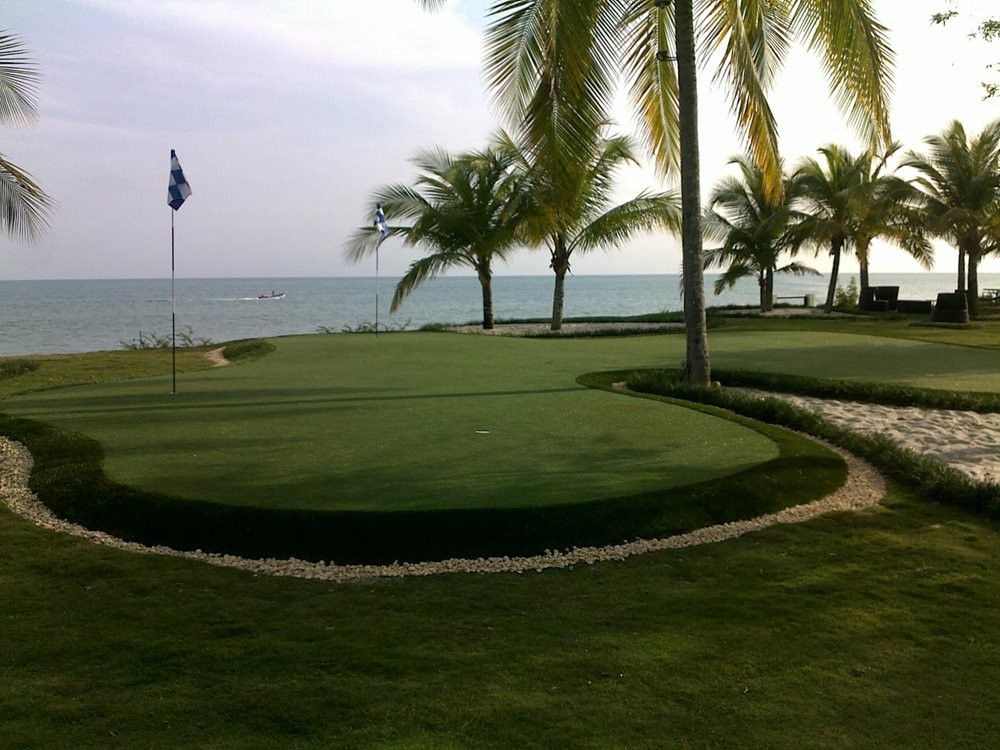 Huntsville artificial grass landscaping